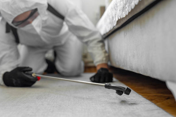 Professional Cockroach Control technician working in Shinnecock Hills, NY